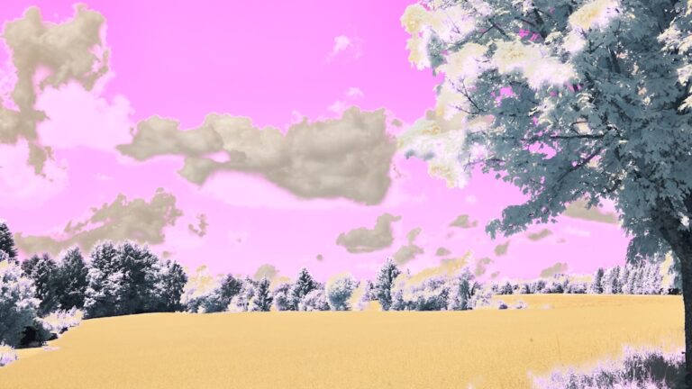 Ce înseamnă dacă visezi un copil mic