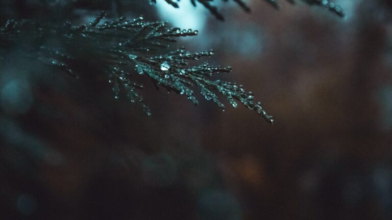 Cum se scrie corect vre-un sau vreun