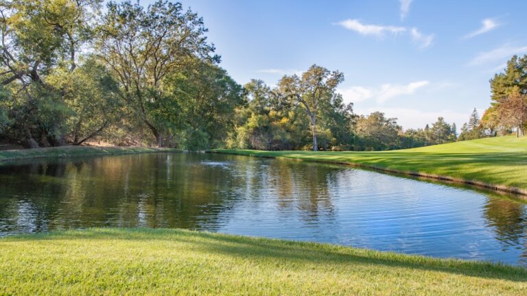 Semnificația viselor repetitive și a motivelor pentru care nu ar trebui ignorate