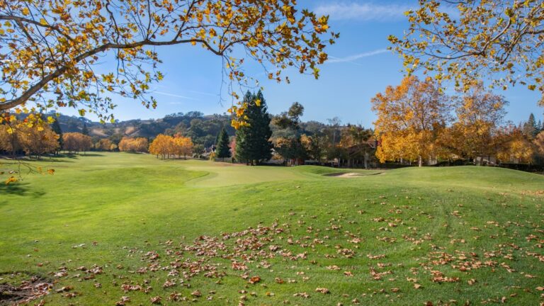 De ce te simți epuizat după interacțiuni sociale și ce spune asta despre tine