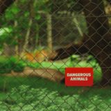 Photo jargon avoidance
