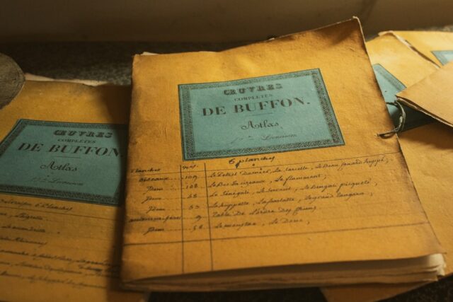 Photo citations history