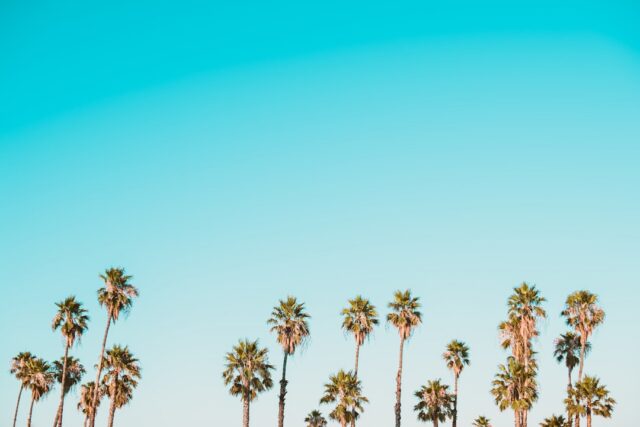 Photo brand voice consistency