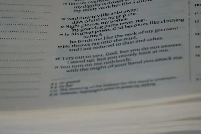 Photo court citation mistakes