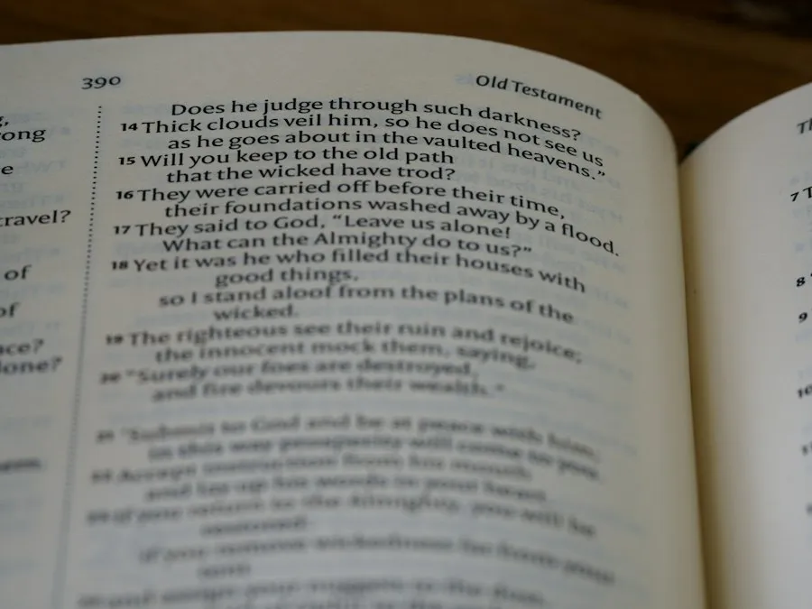 Photo court citation mistakes